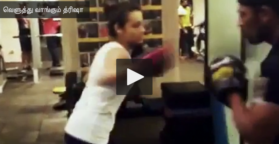 பாக்ஸிங்கில் ஈடுபடும் நடிகை த்ரிஷா… வைரலாகும் வீடியோ! thrisha boxing