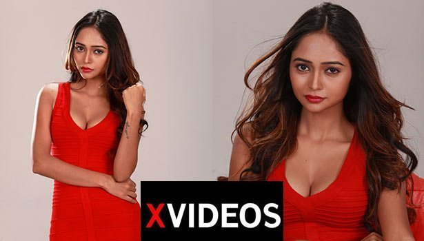 ஆபாச வலைத்தளங்களை முடக்க வரும் எக்ஸ் வீடியோ videos copy