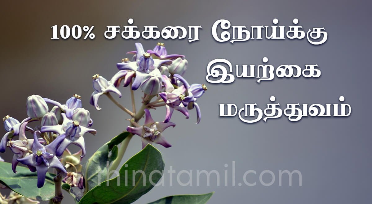100% சக்கரை நோய்க்கு இயற்கை மருத்துவம் – அனைவரும் பகிருங்கள் diabetic medicine