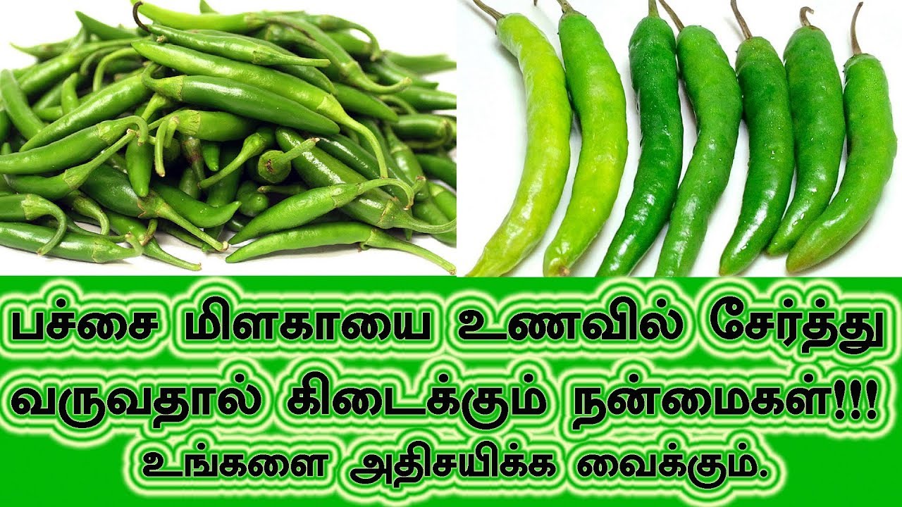 இந்த ஒரு பொருள் போதும் புற்றுநோய் நெருங்குவதற்கு அஞ்சி நடுங்கும்! விரைவாக பகிருங்கள் இந்த ஒரு பொருள் போதும் புற்றுநோய் நெருங்குவதற்கு அஞ்சி நடுங்கும்! விரைவாக பகிருங்கள்