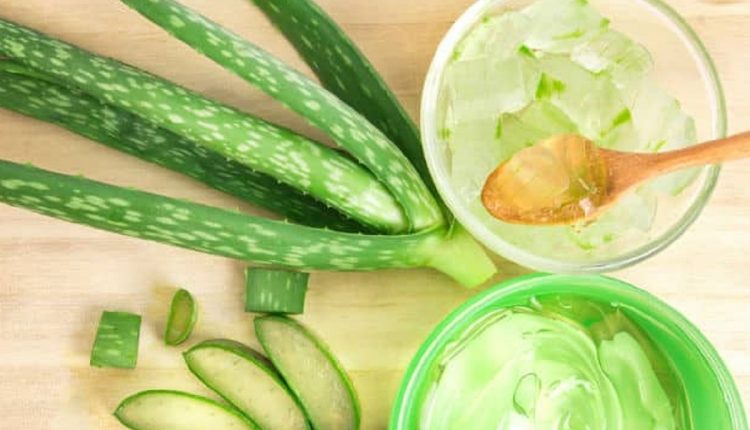 வெயிலில் சரும நிறமாற்றத்தை போக்கும் இயற்கை வழிகள் 2 Wonderful Benefits Of Aloe Vera thinatamil |