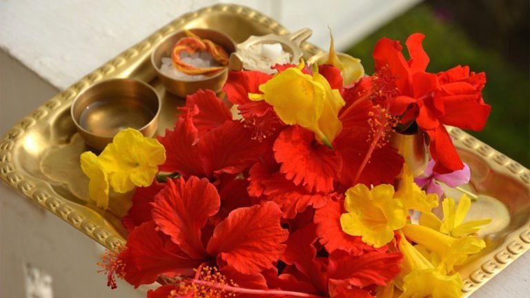 archana-flowers-hindu-worship_thinatamil