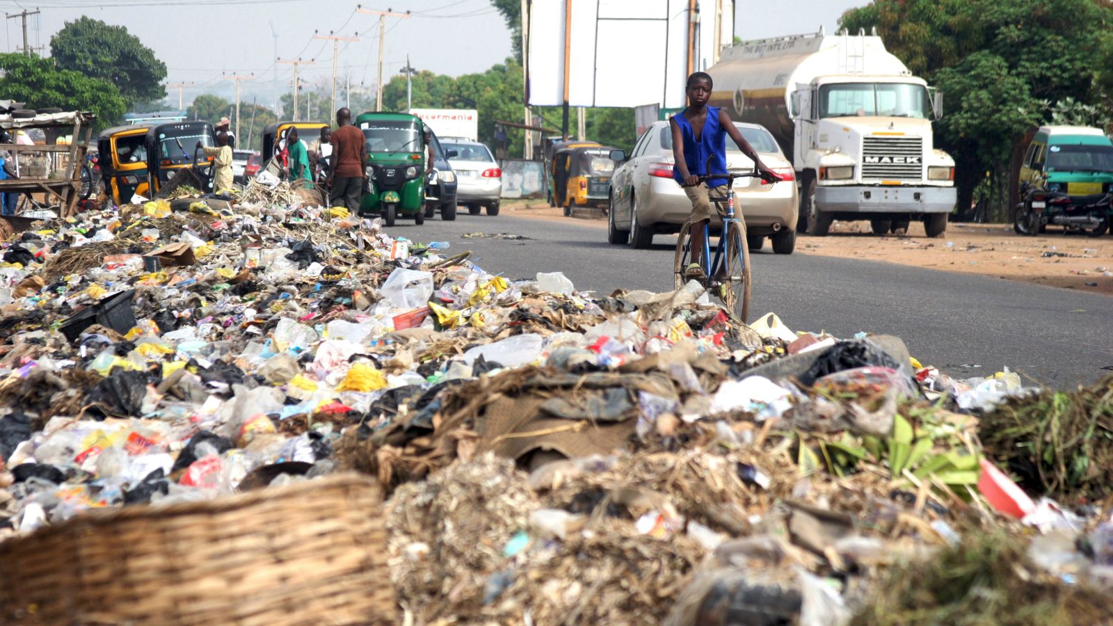 Environmental Pollution |