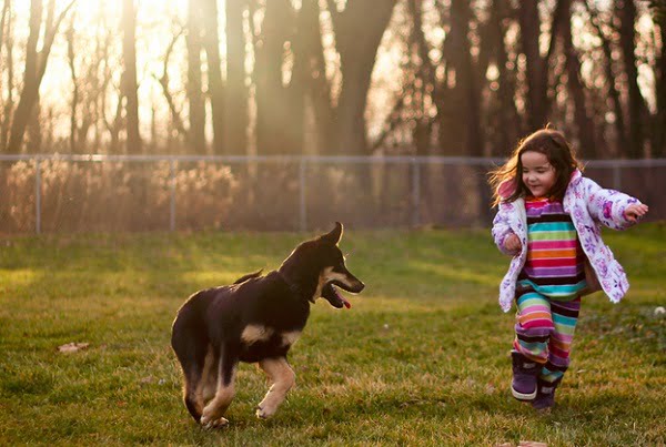 குழந்தைகள் செல்லப் பிராணியோடு எப்படி விளையாட வேண்டும்? How-should-children-play-with-a-pet_thinatamil