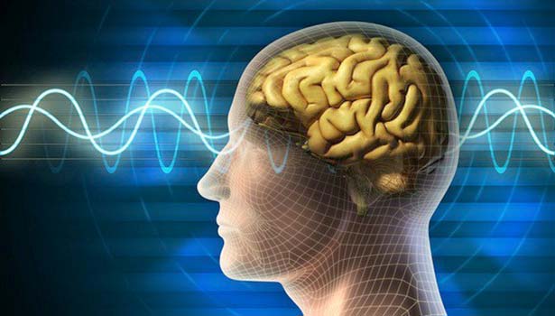 Special-place-in-brain-for-sacred-experiences_thinatamil