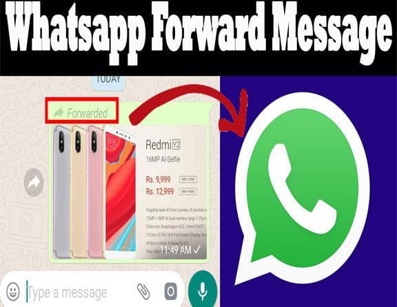 WhatsApp-to-label-forward-message-fight-misinformation_thinatamil