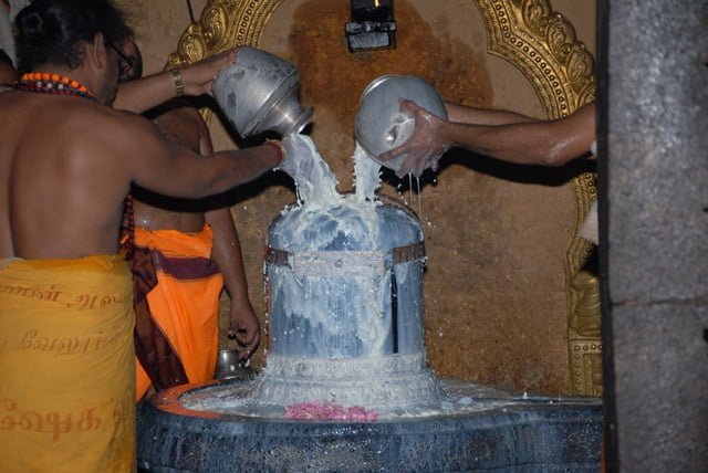 ani thirumanjanam uthira abhishekam |