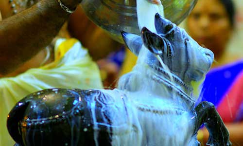 20 வகை பிரதோஷ விரத வழிபாட்டு பலன்கள் 2 nanthia abishekam |
