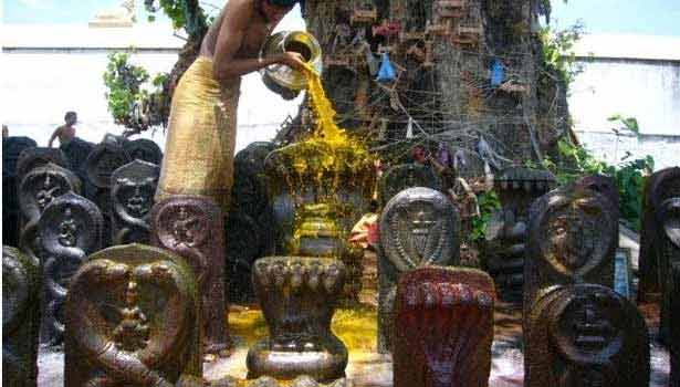சர்ப்ப தோஷம் நிஜமா… பொய்யா?