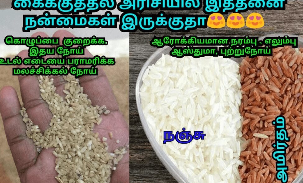 கைக்குத்தல் அரிசி உணவை சாப்பிடுவதால் உண்டாகும் 12 நன்மைகள்!!! red-rice-health-tips