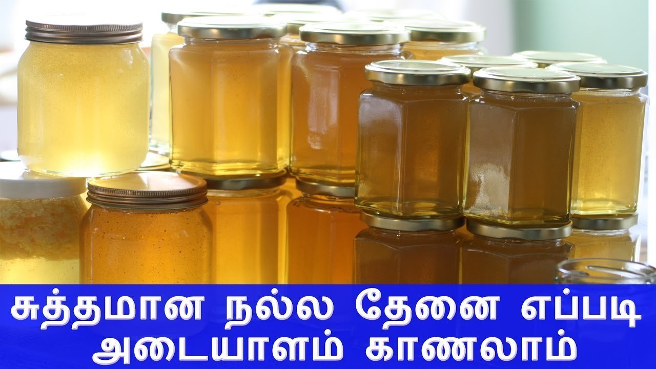 சுத்தமான தேனை கண்டுபிடிப்பது எப்படி? இதை பாருங்க இனி ஏமாறவே மாட்டீங்க!.. | suththamaana then eppadi suththamaana then
