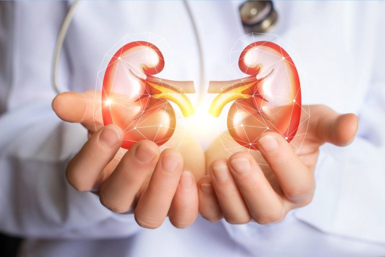 kidneys-health-fruits-thinatamil