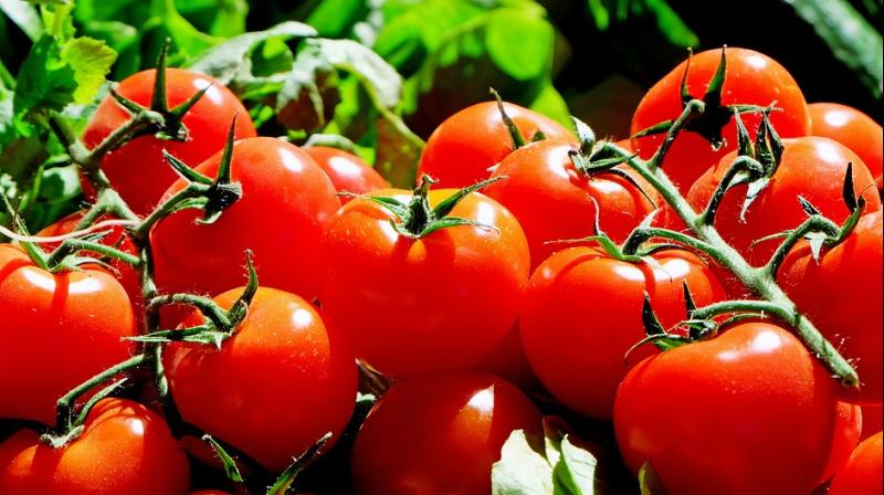 eat-tomatoes-good-thinatamil