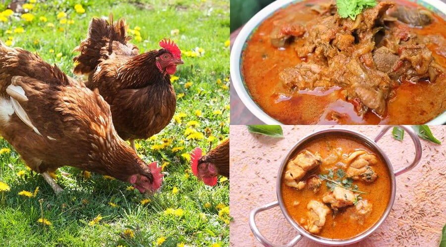 தமிழர்களுக்கு மருந்தான நாட்டுக் கோழி!… ஏன் நல்லது தெரியுமா? nattukozhi-kulambu-thinatamil
