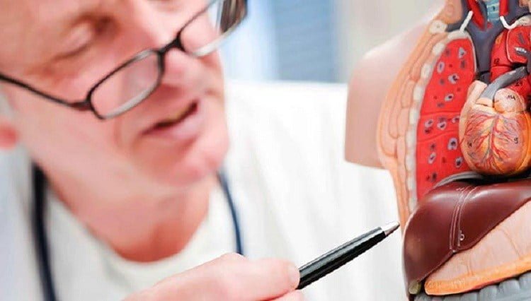 liver-problem-Preventing-Mechanisms_thinatamil