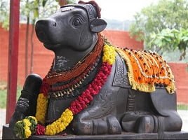 Nanthi