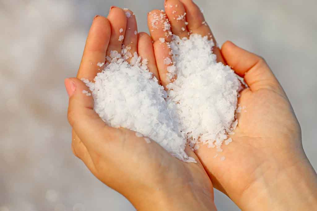 salt1