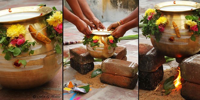 இந்த பொங்கலில் இதை செய்ய மறந்திருந்தாலும் அடுத்த பொங்கலிலாவது இதை எல்லாம் செய்ய மறக்காதீர்கள். when-is-thai-pongal-celebra-thinatamil