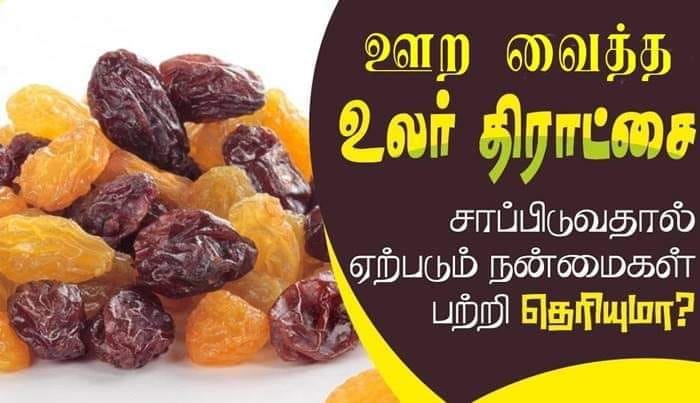 தினமும் காலையில் நீரில் ஊற வைத்த உலர் திராட்சையை உட்கொள்வதால் பெறும் நன்மைகள்.. தினமும் காலையில் நீரில் ஊற வைத்த உலர் திராட்சையை உட்கொள்வதால் பெறும் நன்மைகள்..