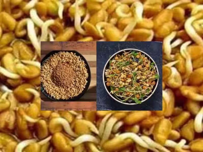 1 ஸ்பூன் வெந்தயத்தை இப்படி சாப்பிட்டா போதும்! லட்ச ரூபாய் கொடுத்தாலும் கிடைக்காத பலன்கள் கேரண்டி! 2 1 ஸ்பூன் வெந்தயத்தை இப்படி சாப்பிட்டா போதும்! லட்ச ரூபாய் கொடுத்தாலும் கிடைக்காத பலன்கள் கேரண்டி!
