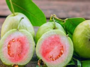கொய்யா ஜூஸ்… கொட்டிகிடக்கும் நன்மைகள் – கூடவே பெண்களுக்கும் ரொம்ப நல்லதாம்! கொய்யா ஜூஸ்... கொட்டிகிடக்கும் நன்மைகள் - கூடவே பெண்களுக்கும் ரொம்ப நல்லதாம்!