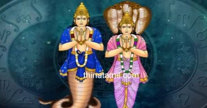 ராகு பெயர்ச்சி 2026: புத்தாண்டிலும் வேலையை காட்டும் ராகு – இரட்டை பெயர்ச்சியால் அதிரடி மாற்றம் பெறும் ராசியினர் ராகு பெயர்ச்சி 2026 காரணமாக வாழ்க்கை மாறும் ராசிகள்